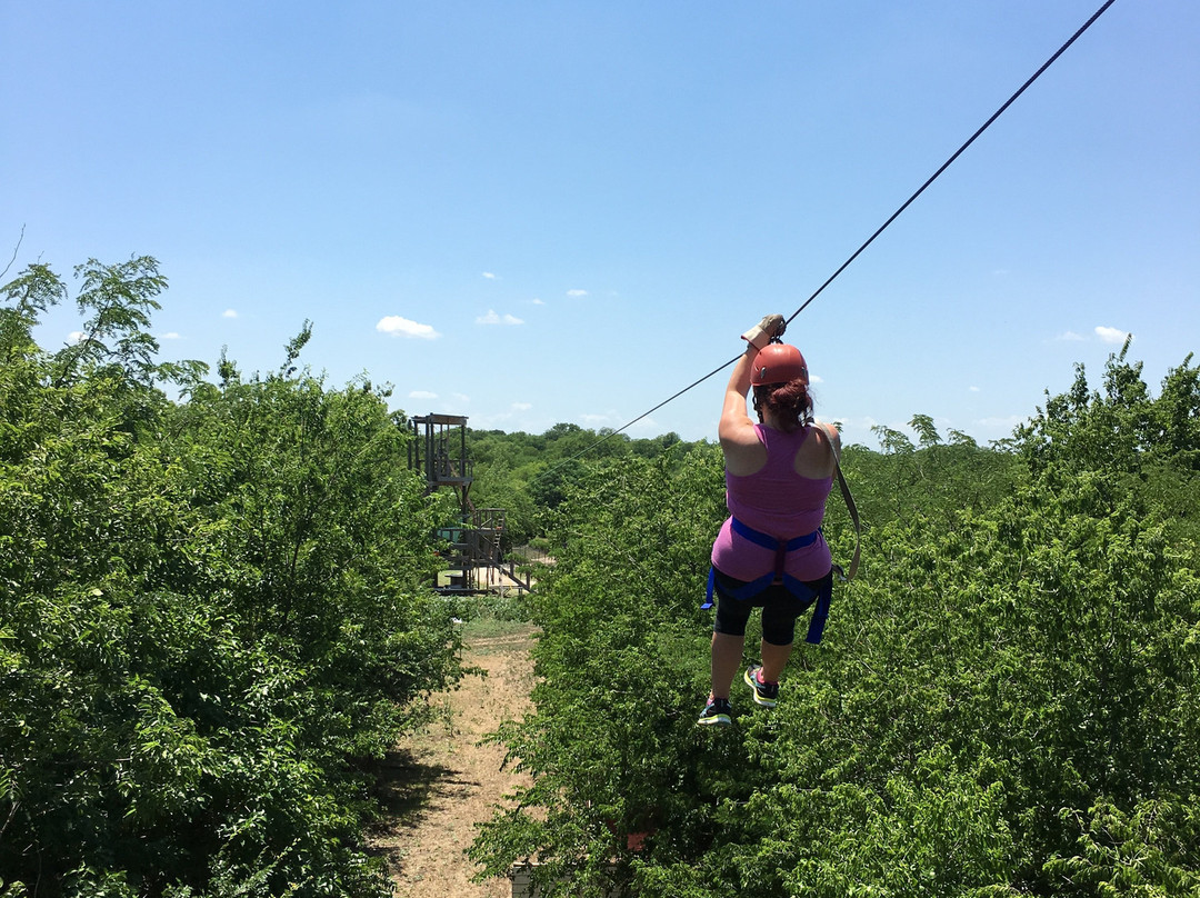 DFW Adventure Park-罗阿诺克必去景点