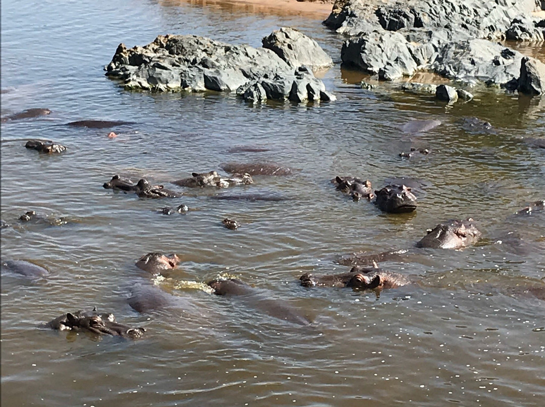 Serengeti Tented Camp - Ikoma Bush Camp主图