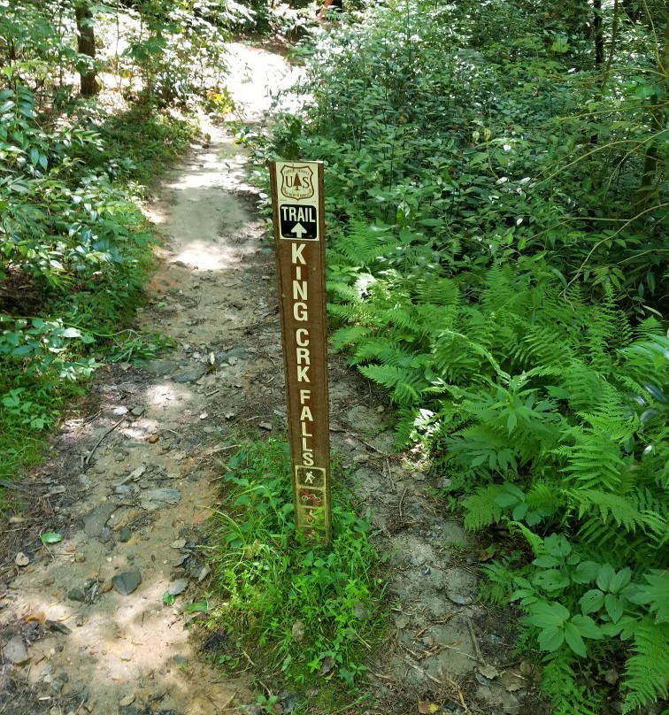 King Creek Falls景点图片