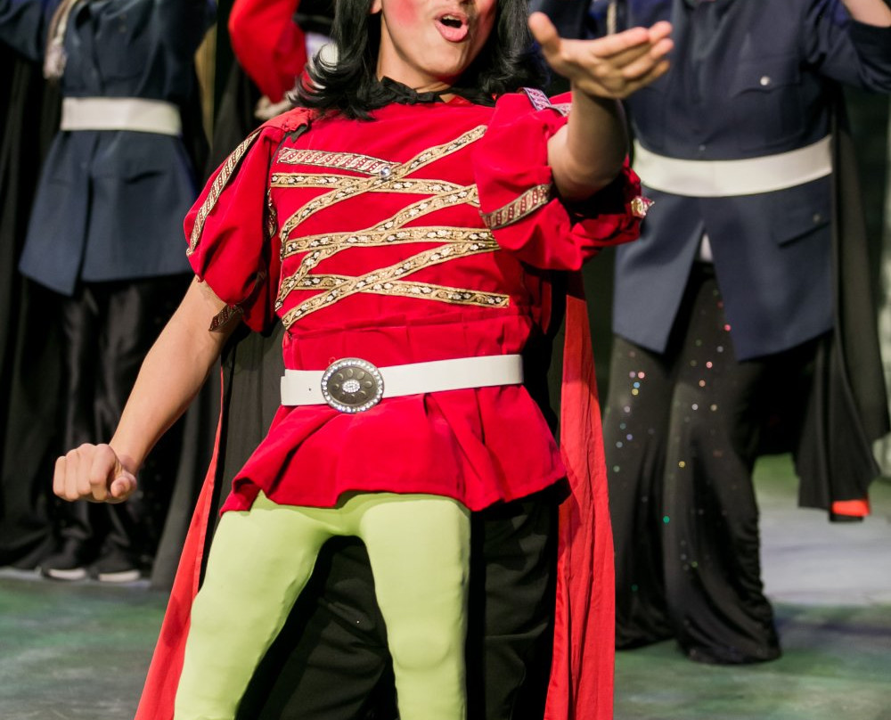 Theatre Arlington-阿灵顿必去景点