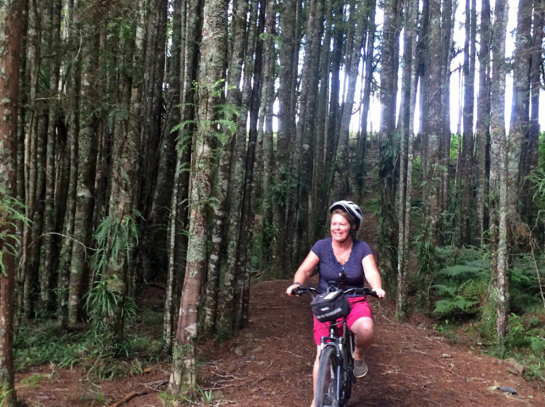 All Seasons Accommodation, Bike Hire and Shuttle Service景点图片