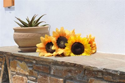 Aigaio Studios主图