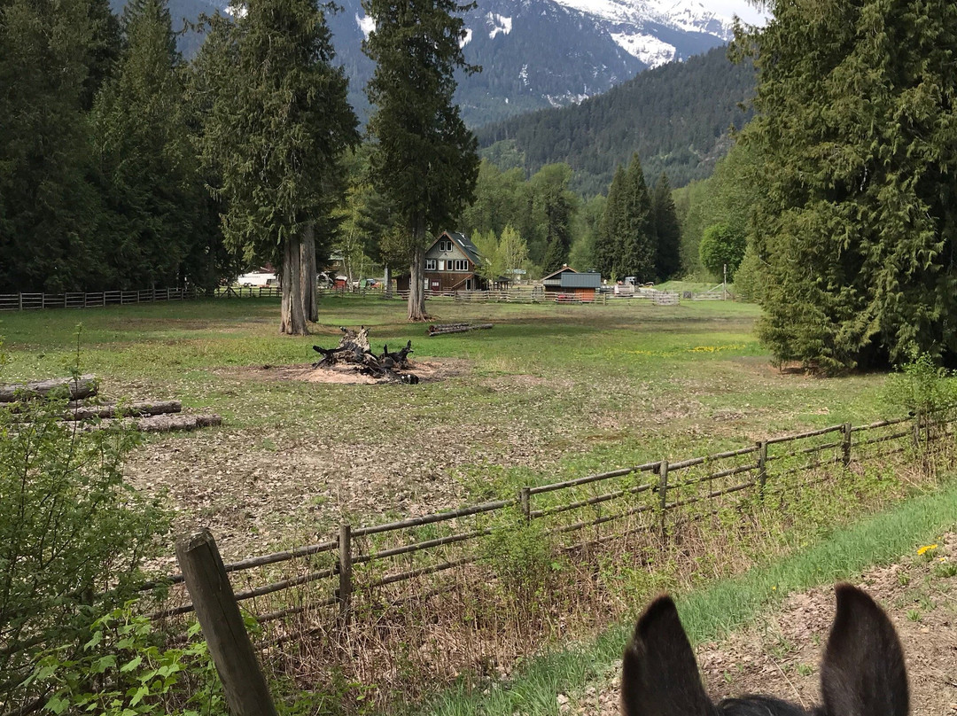 Copper Cayuse Outfitters-Pemberton必去景点