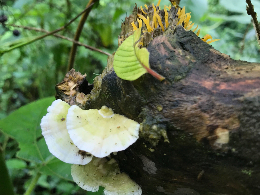 Kereita Cave and Waterfall-阿伯德尔国家公园必去景点