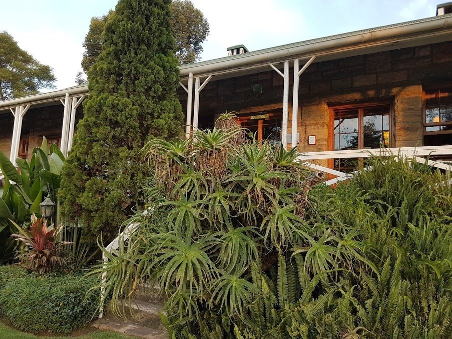 三叶草武器宾馆主图