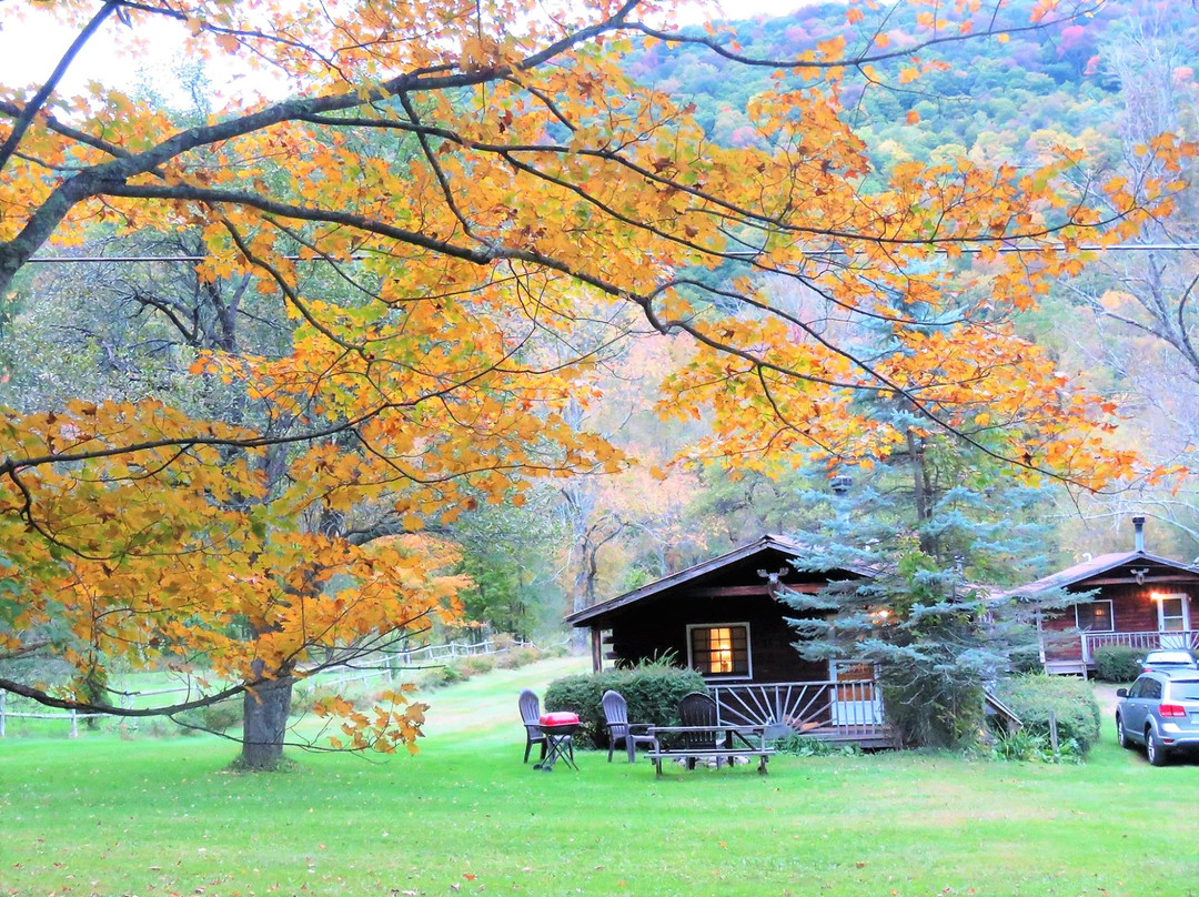 Cold Spring Lodge主图