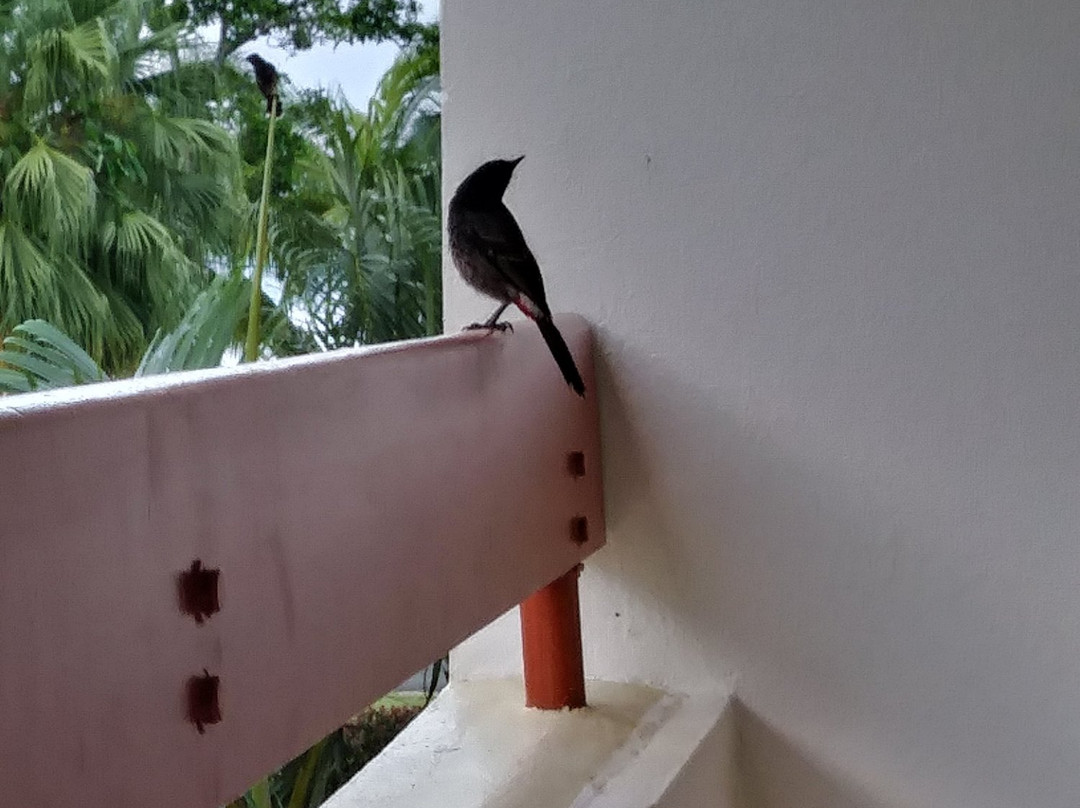 贝达拉海滩旅馆主图