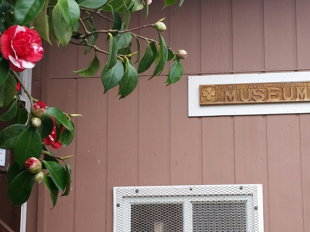 qathet Museum and Archives-鲍威尔里弗必去景点