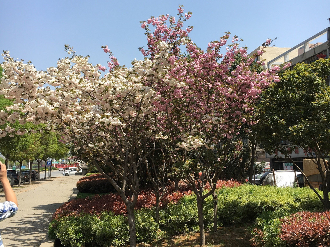 蓝色海岸国际大酒店