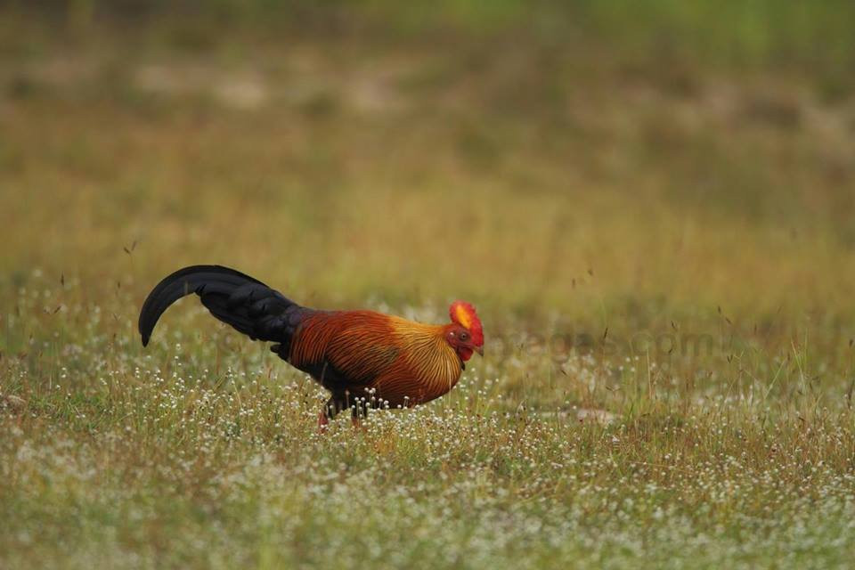 Asya Tours-瓦都瓦必去景点