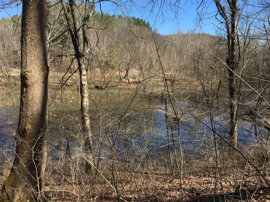 Zaleski State Forest-Zaleski必去景点