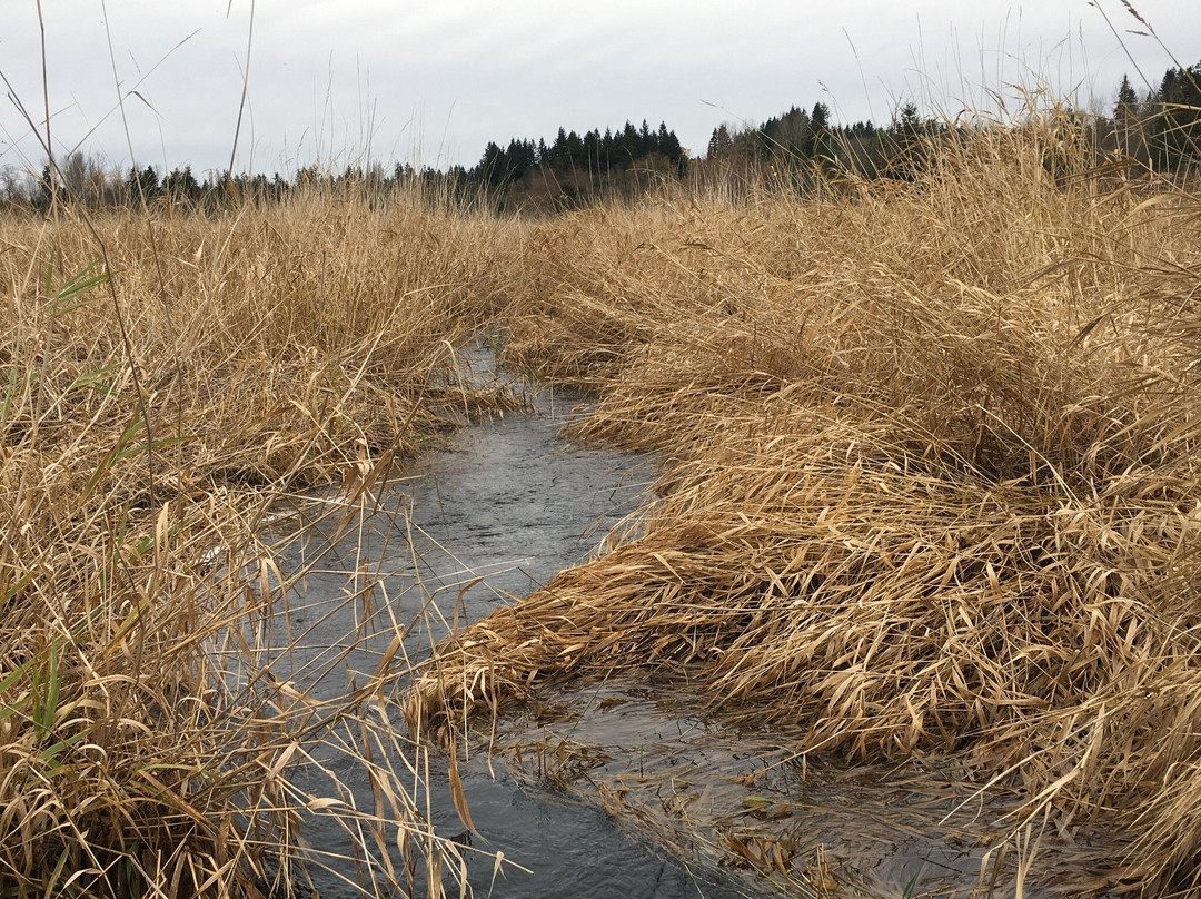 North Creek Park-博塞尔必去景点