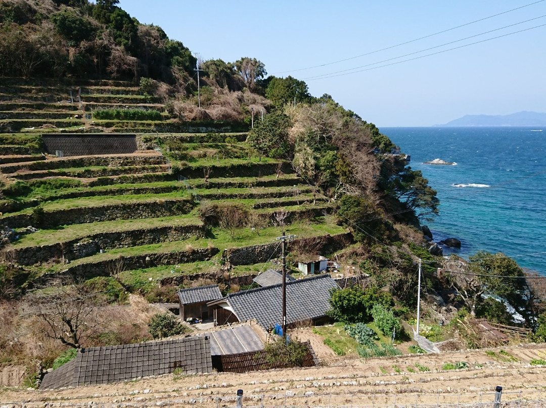 Odo Coast-大月町必去景点