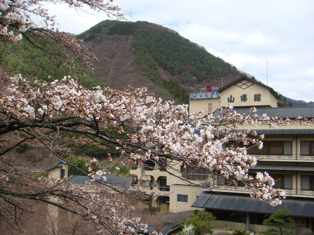 川浦温泉 山县馆主图