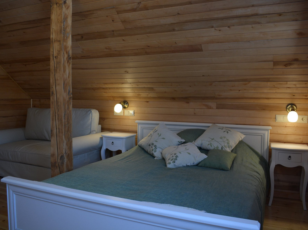 Guest House Ziedkalni主图
