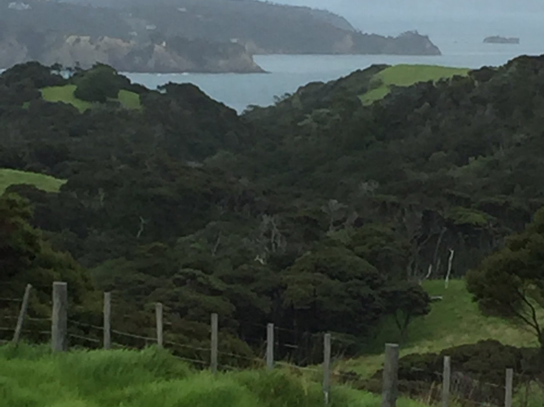 Beautiful Nature Tours Auckland景点图片