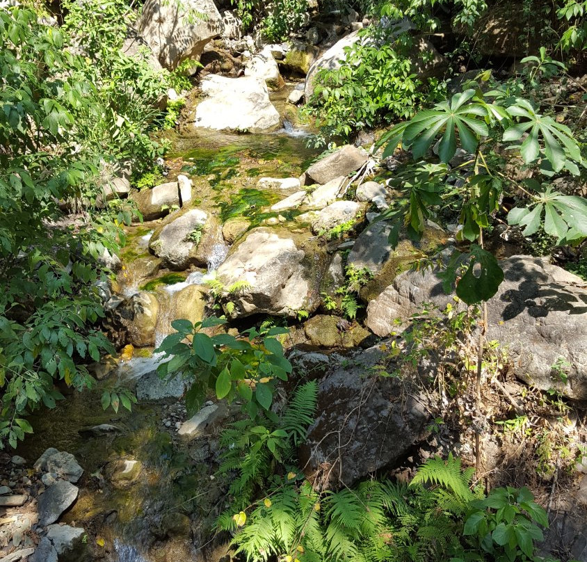 El Salto Waterfall-Colima必去景点