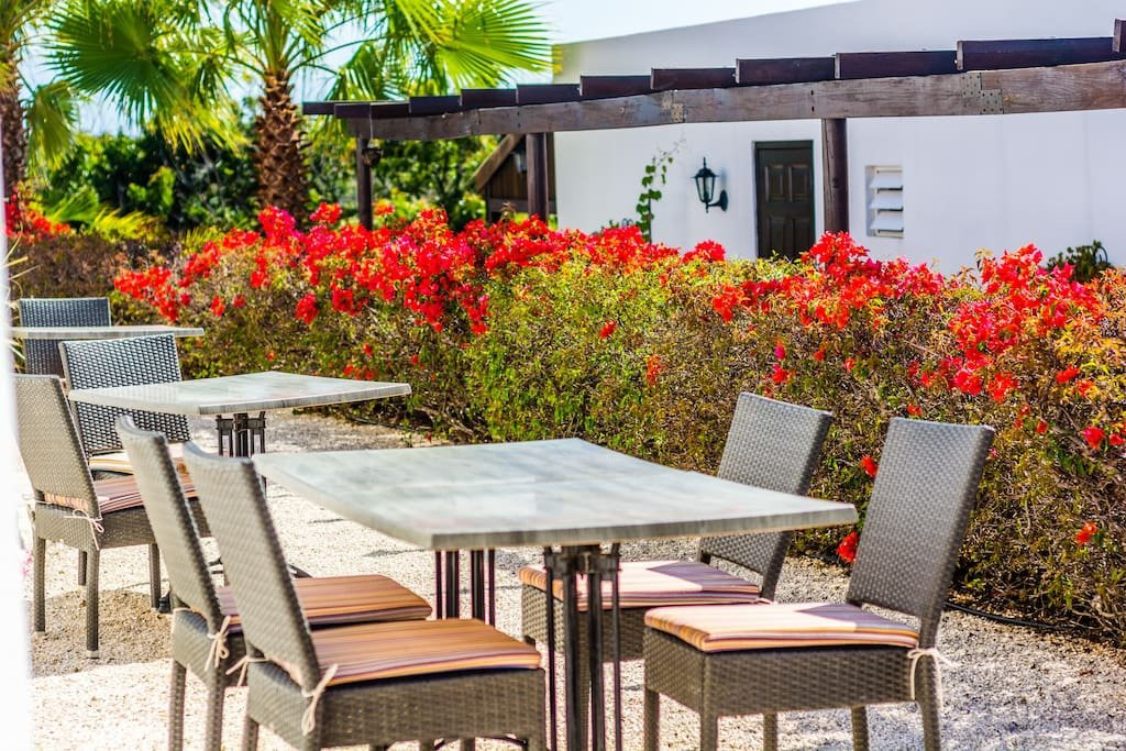 Hacienda La Bougainville主图