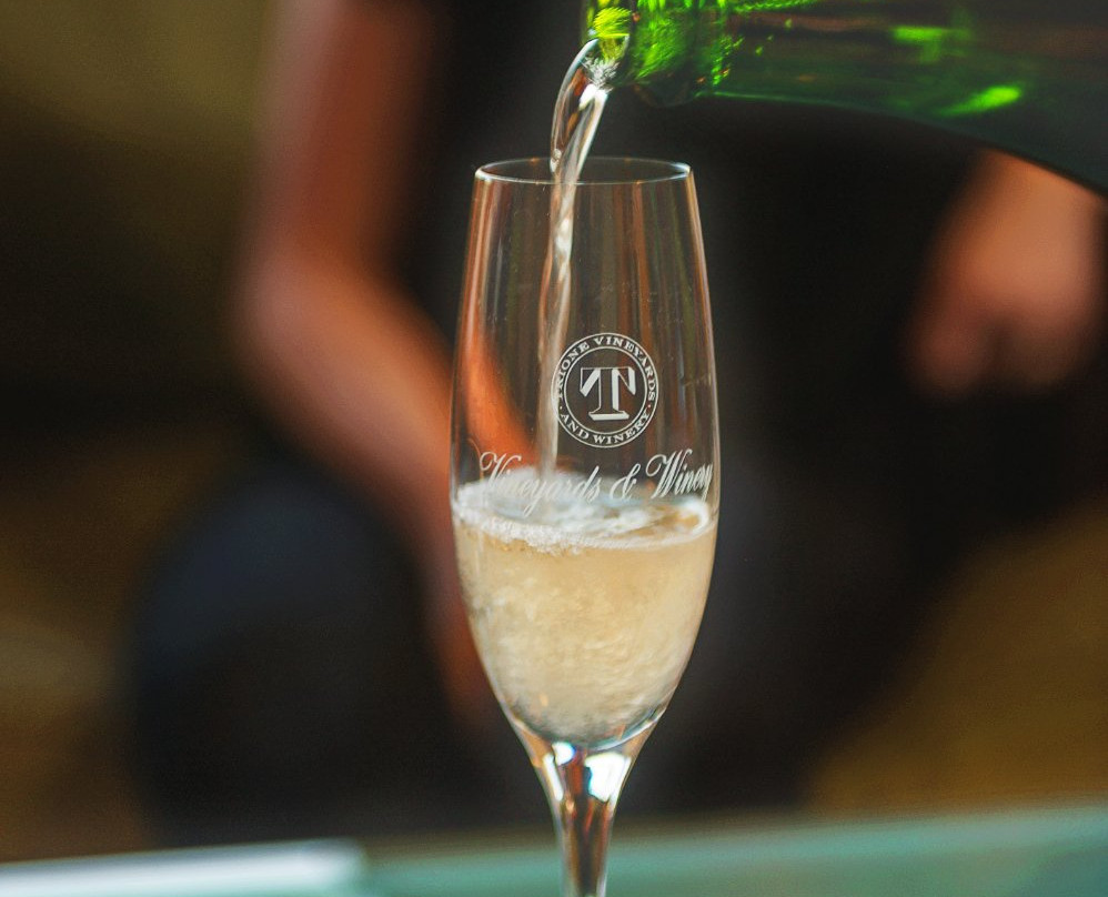 Trione Vineyards and Winery-Geyserville必去景点