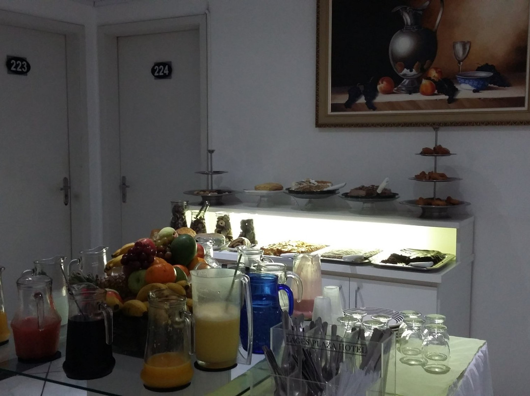 Lages Plaza Hotel主图