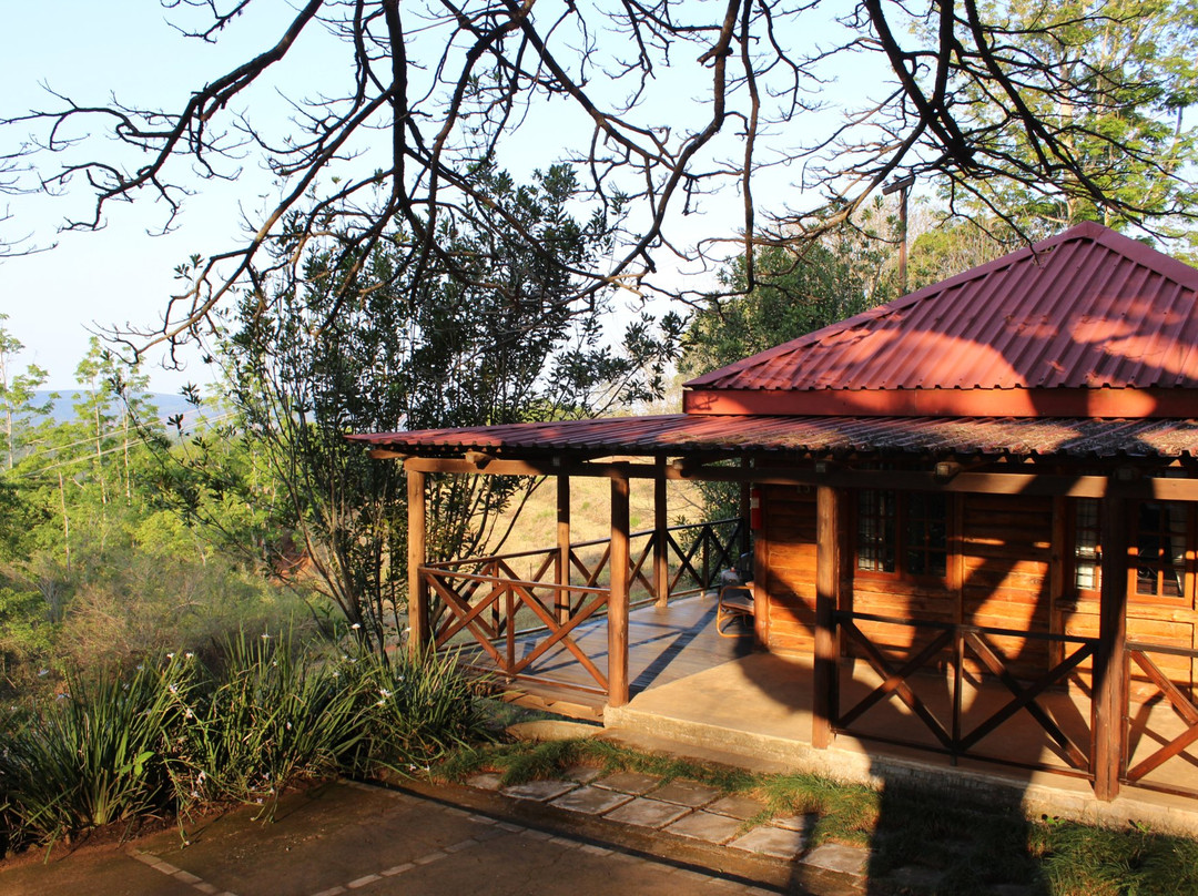 Böhm's Zeederberg Country House主图