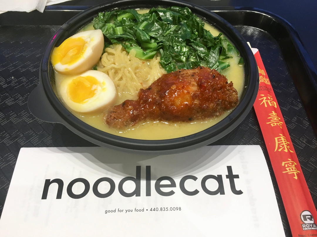 Noodlecat