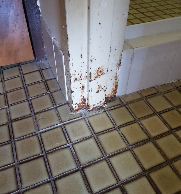 Red Star Palm Beach主图