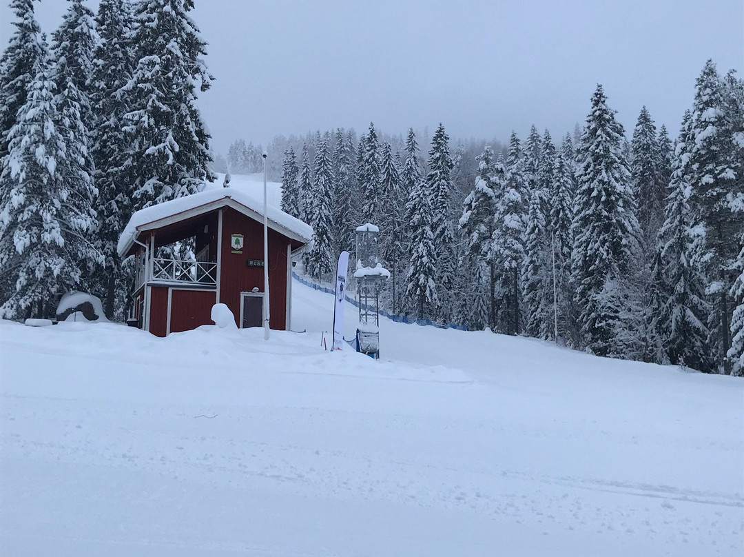 比绍斯滑雪中心营地酒店