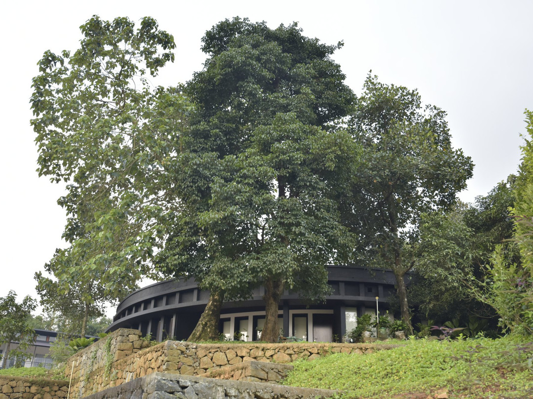 Sattva The Awakening Garden主图