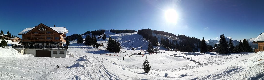 Les Sapins Wellness & Gourmet主图