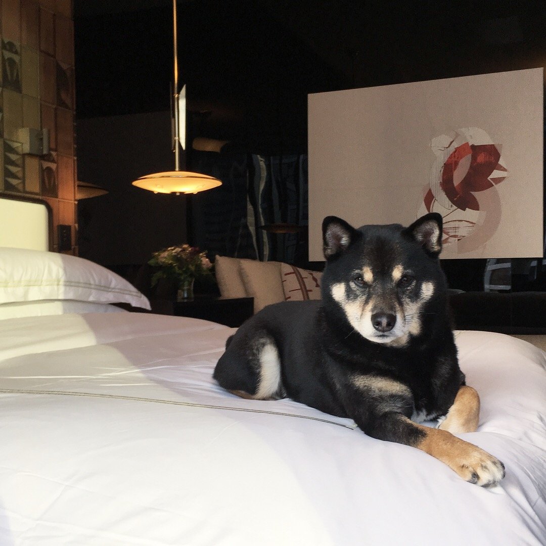 Viceroy Chicago-官方