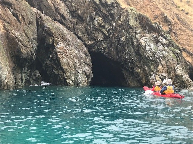 Cable Bay Kayaks-尼尔森必去景点