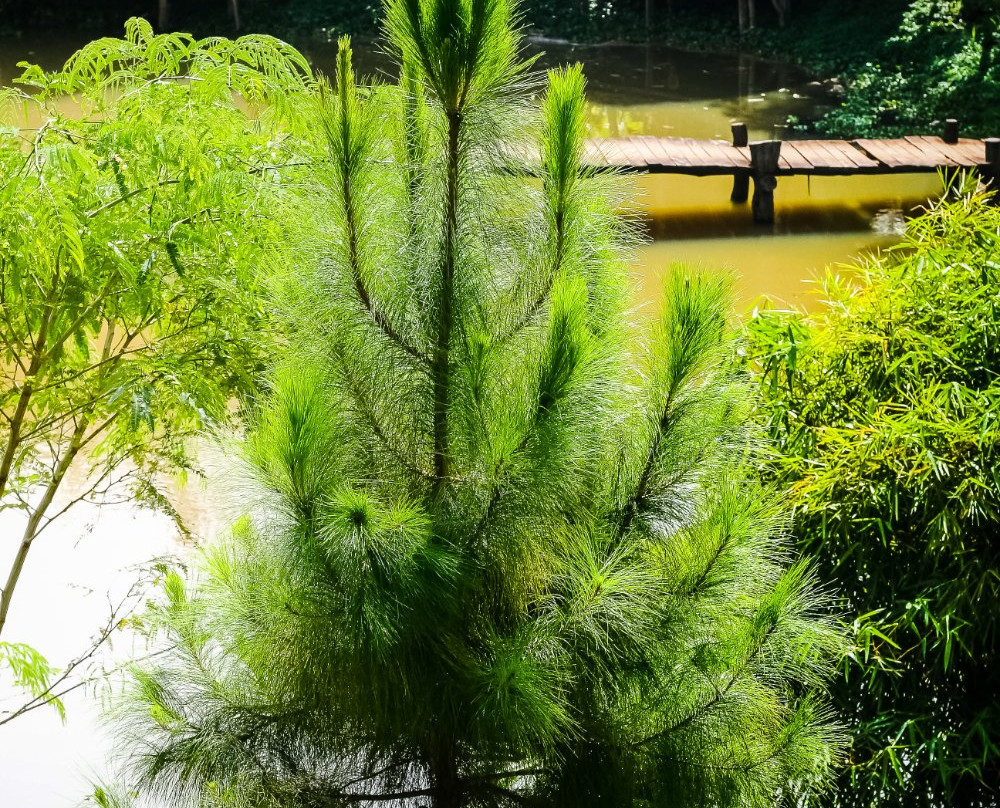 Dau Nguon Eco Resort景点图片