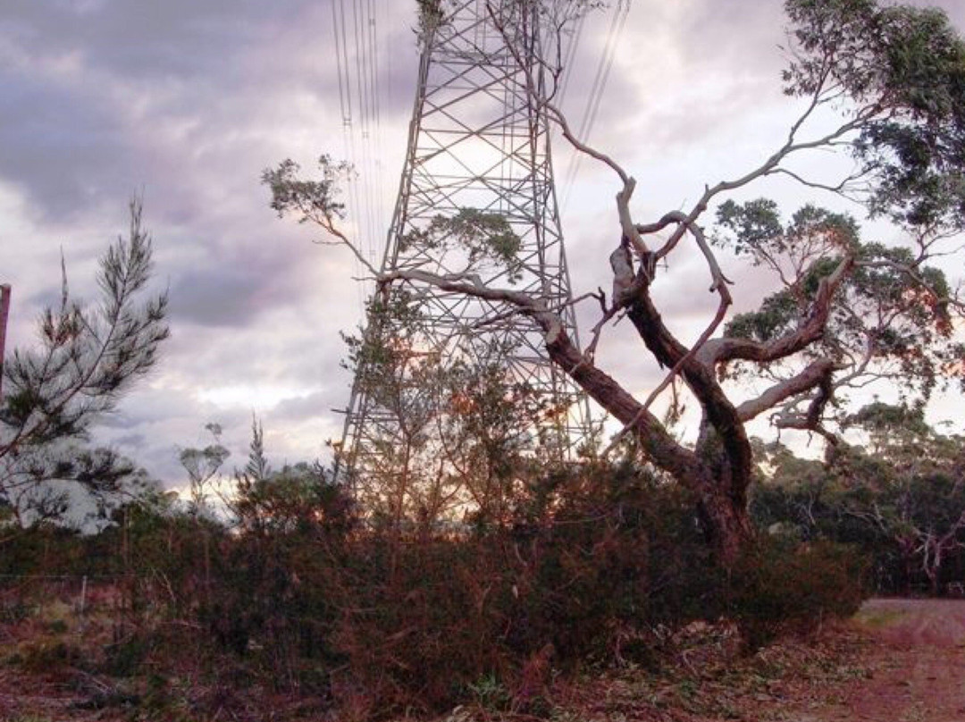 Bannockburn旅游攻略图片
