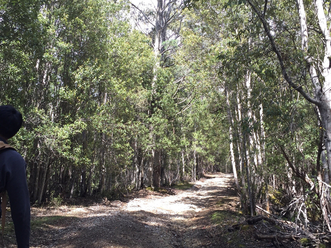 Bridal Veil Falls-Moina必去景点
