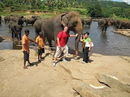 Chauffeur Sri Lanka by Dohansa Lanka Tours景点图片