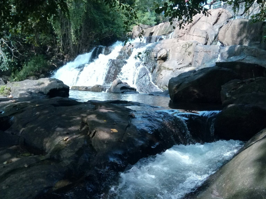 Aruvikkuzhi Waterfall景点图片