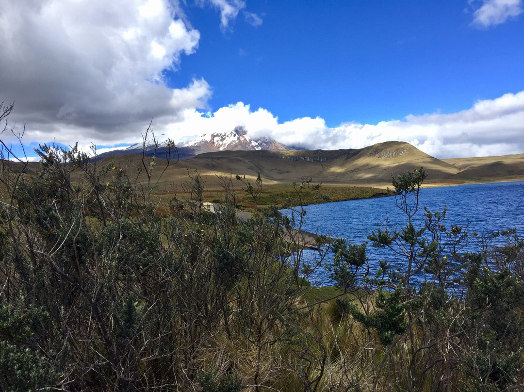 Reserva Ecologica Antisana-Cayambe必去景点