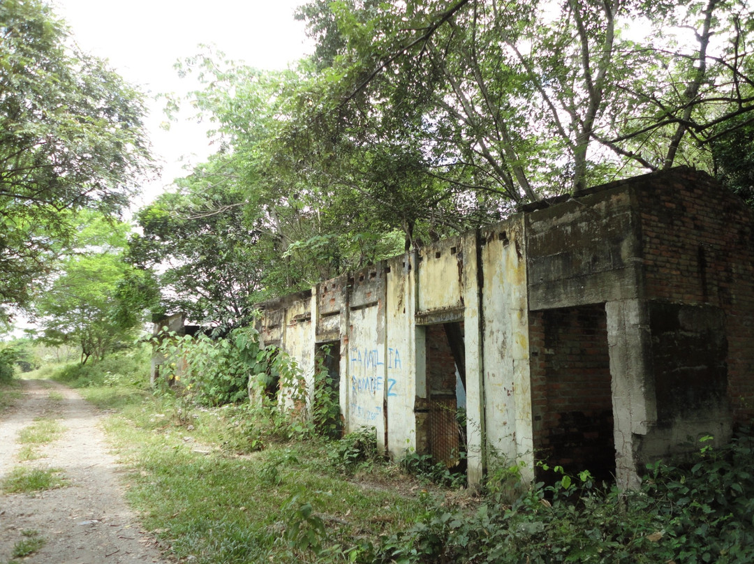 Armero旅游攻略图片