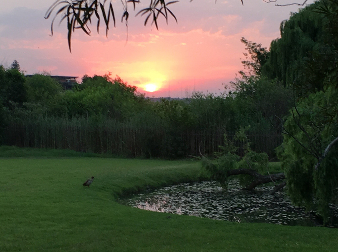 Rustika Guest Lodge主图