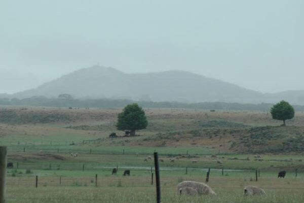 Mount Richmond National Park-Cape Bridgewater必去景点