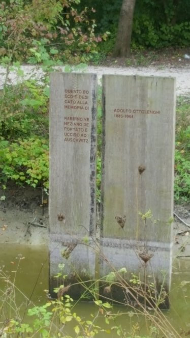 Bosco di Mestre - Bosco dell'Osellino-麦斯特必去景点