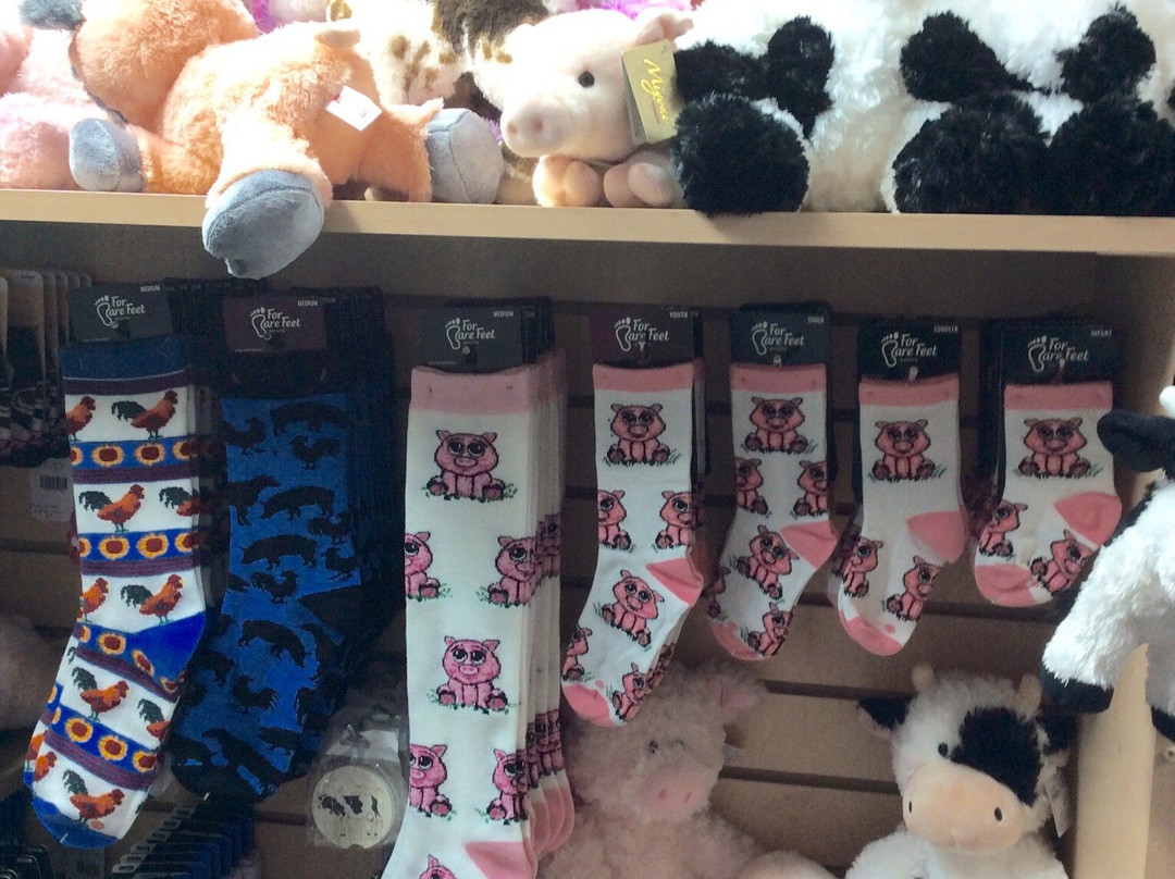 For Bare Feet-埃斯蒂斯公园必去景点