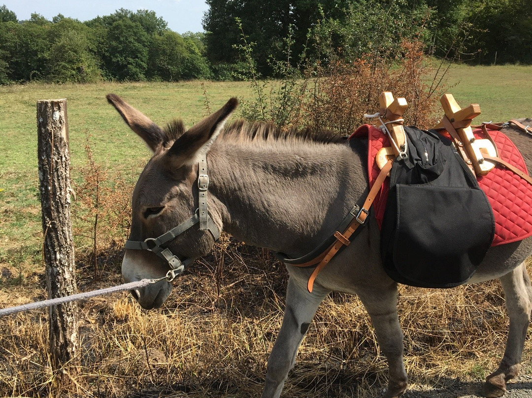 Au pas de l'âne-Les Eyzies-de-Tayac-Sireuil必去景点