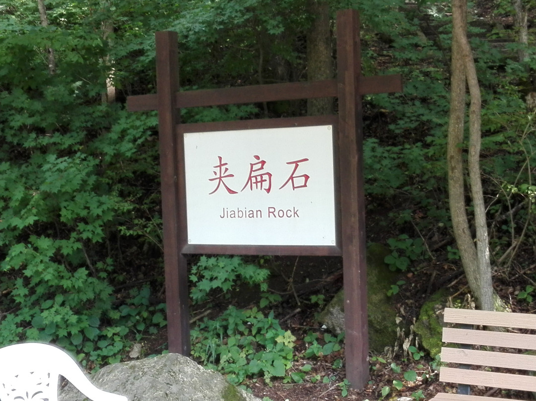 猴石国家森林公园-新宾满族自治县必去景点