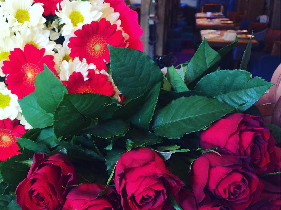 Kudrovo旅游攻略图片