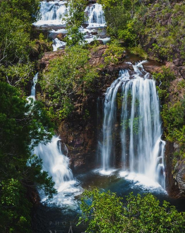 Territory Experiences One Day Tours-达尔文市必去景点