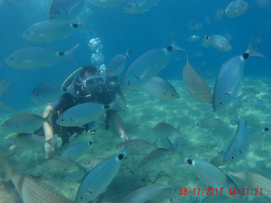 Big Fish Dive Center-Faliraki必去景点