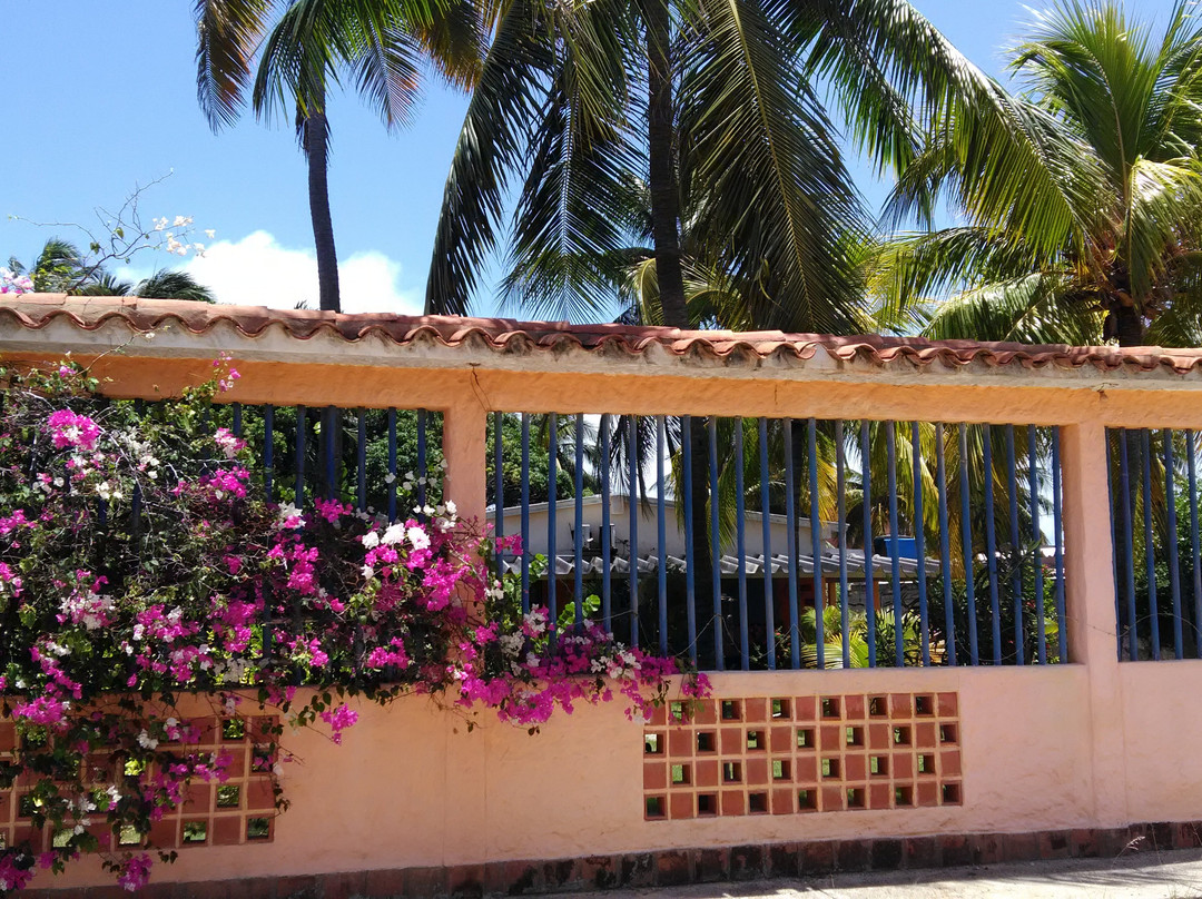 Le Palme
