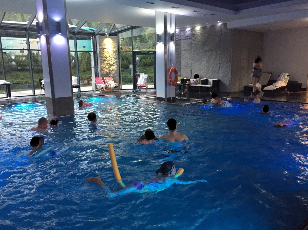 扎科帕内酒店住宿-Nosalowy Dwór Resort & SPA